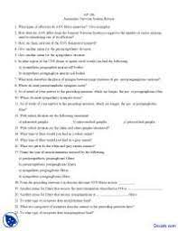 Autonomic Nervous System Physiology And Anatomy Quiz Docsity