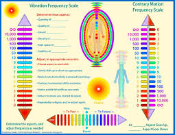 vibration frequency w l collins project portfolio