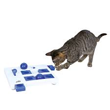 The most common cats puzzle toy material is wood. Best Cat Treat Dispenser Puzzles And Balls Reviewed In 2021 Catpointers