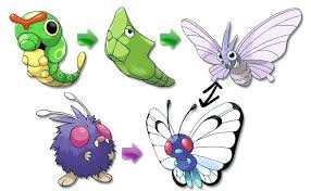 Pokemon Leaf Green Evolution Chart 2019