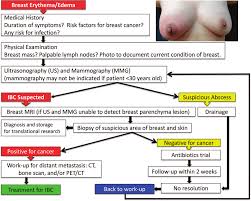 Pitting or thickening of the skin of the breast so that it may look and feel like an orange peel. Workup For Inflammatory Breast Cancer Download Scientific Diagram