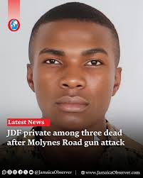 This is sad. Condolences to family and friends Norville Hall longed to join  the Jamaica Defence Force (JDF). In fact, he had made a promise to his late  mother, Damone Roberts, who