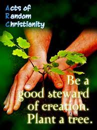 Care For God S Creation Nature Inspiration Steward Gods Creation