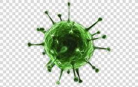 Pin On Virus