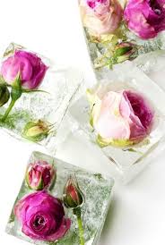 Gut Aufgelegt 8 Wundervolle Diy Dekoideen Fur Eure Grillparty Blumen Eiswurfel Blumeneis Eiswurfel