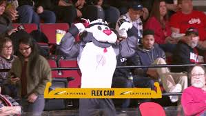 In the team's 50 years of existence (through 2020), the blazers have qualified for the nba playoffs 36 times. Circuits Nba Mascots Gif Find On Gifer
