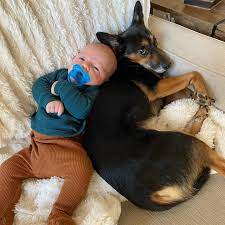 I'm breaking down my current mindset on parenting, purpose, lockdowns,. Jp Sears Eight Weeks Into Parenting Here Are More Facebook