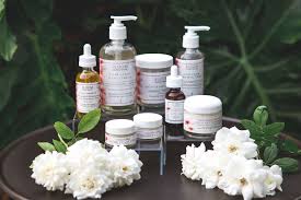 Plastic surgeons serving san jose, palo alto, mountain view, los altos, santa clara & nearby south bay, california. Clean Beauty Skincare Products Fresno Bloom Organics Skincare