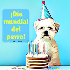 El 21 de julio no es la única fecha para homenajear al mejor amigo del hombre. Dia Mundial Del Perro