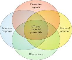 Image result for Acute Bacterial Prostatitis