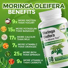 Image result for Moringa oleifera
