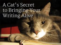 He only passed away due to the. A Cat S Secret To Bringing Your Writing Alive