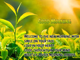 You can download the pictures and share them with your friends. Best Good Morning Quotes Morning Quotes With Images