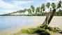 Full Screen Nature Beautiful Wallpapers
