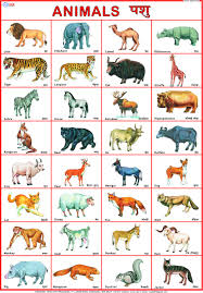 77 Detailed Animals Chart For Children