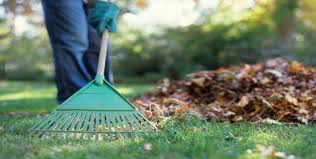 Spring is a busy season in the garden, with much to do before plants start growing. Blog Landscaping Ideas Seasonal Lawn Maintenance Tips