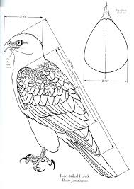 Diagram Of A Red Tailed Hawk Source Birds Of Prey By Floyd Scholz 1993 P 175 Bird Carving Patterns Wood Carving Patterns Bird Drawings