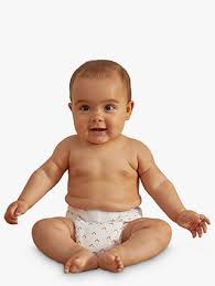 Kit Kin Fox Reusable Cloth Nappy Multi One Size