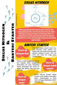 Siklus Nitrogen Dan Bakteri Starter Aquaponics Tanaman Ekosistem