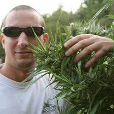 Kimberlee Mitchell's Email & Phone