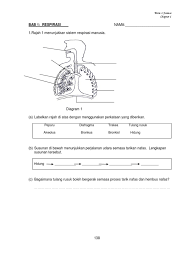 Nota kh tingkatan 1 : Latihan Respirasi 2