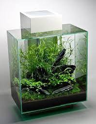 Pada umumnya pompa air aquarium digunakan untuk mendukung sistem filtrasi aquarium, dimasa air dari akuarium dialirkan ke firter lalu dikembalikan lagi. Ikan Hias Toko Ikan Hias Aquascape Tanaman Air Tawar Step By Step Aquascape Diy Peralatan Aquarium Aquarium Aquarium Small Fish Tanks Fish Tank
