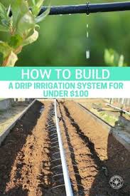 How To Build A Drip Irrigation System For Under 100 A Drip Irrigation System Can Save You Time M Drip Irrigation Garden Watering System Drip Irrigation Diy