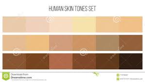 Skin Tone Color Palette Q House Pl