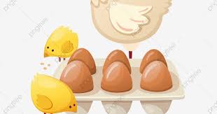 1 000 gambar telur ayam telur gratis pixabay 1 101 gambar gambar gratis dari telur ayam 396 354 90 penetasan anak ayam. Pin Oleh Nisa Ul Maghfiroh Di Pertumbuhan Ayam Kartun Ayam Gambar Kartun