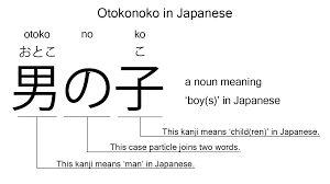 Otokonoko is the Japanese word for 'boy', explained