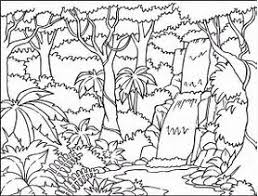 Image Result For Rainforest Flowers Coloring Pages Jungle Coloring Pages Forest Coloring Pages Animal Coloring Pages