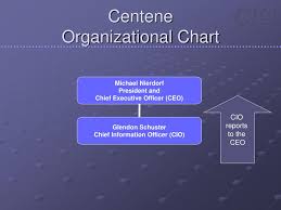 Ppt The Role Of The Chief Information Officer Powerpoint