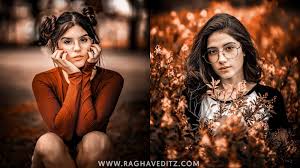In collaboration with professional photographers, . Moody Orange Lightroom Mobile Presets Free Download