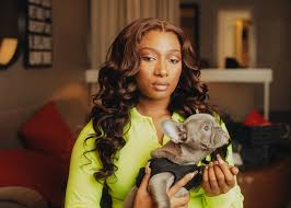 Going into 2021, megan officially became a dog mom to five good boys. Megan Thee Stallion Says Tory Lanez Shot Her He Responded With An Album The New York Times