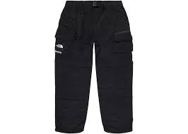 The supreme cargo pant comes in 10+ versions: Supreme The North Face Belted Cargo Pant Black Ss20