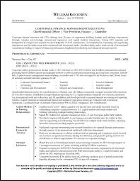 Sample Cfo Resume Page 1 Professional Resume Examples Professional Resume Writing Service Resume Examples