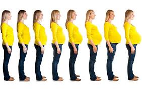 Tipos de anemia durante el embarazo. La Evolucion Del Embarazo Mes A Mes