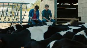 Résultat de recherche d'images pour "petit paysan critique"