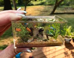 1 12th Scale Freshwater Aquarium By Nina S Mini Creations Please Do Not Remove Or Alter Description Diy Resin Crafts Miniature Crafts Resin Diy