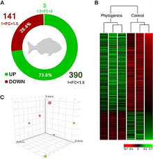 First and only 6 in 1 pest repeller on the market. Frontiers Carvacrol Thymol And Garlic Essential Oil Promote Skin Innate Immunity In Gilthead Seabream Sparus Aurata Through The Multifactorial Modulation Of The Secretory Pathway And Enhancement Of Mucus Protective Capacity Immunology