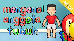 Jika ada, mohon sebutkan dasar hukumnya. Belajar Mengenal Anggota Tubuh Youtube