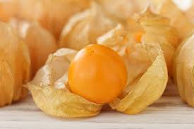 Image result for Physalis peruviana