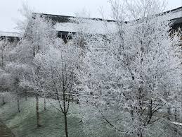 Check out ginger's spelling book and learn how to spell neighbor correctly, its definition and how to use it in a sentence! Be Sure To Check On Elderly Neighbours During The Current Cold Spell Bradford Teaching Hospitals Nhs Foundation Trust