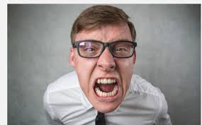 The Feline Companion: Your Guide to All Things Cat