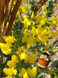 20% off all items · from $19.99 · same day delivery Julie Angela Mortara Julie Mortara Twitter