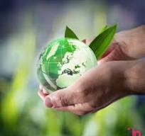 Los desafíos del amoniaco verde como combustible del futuro ...