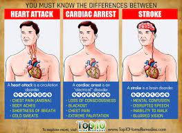 Understanding Heart Attack Cardiac Arrest And Stroke Top 10 Home Remedies Cardiac Arrest Heart Attack Cardiac
