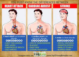 A sudden cessation of electrical activity in the heart. Understanding Heart Attack Cardiac Arrest And Stroke Top 10 Home Remedies Cardiac Arrest Heart Attack Cardiac