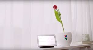 Best end of term pranks! The Best And Worst April Fools Jokes From Around The Web Techcrunch