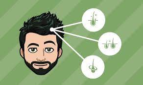 There are also several botanicals like ashwagandha, curcumin, saw palmetto, and more. 9 Best Hair Growth Supplements Vitamins In 2021 Effective Safe